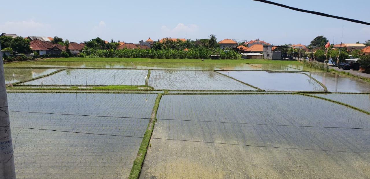 Sun Homestay Canggu Exteriér fotografie