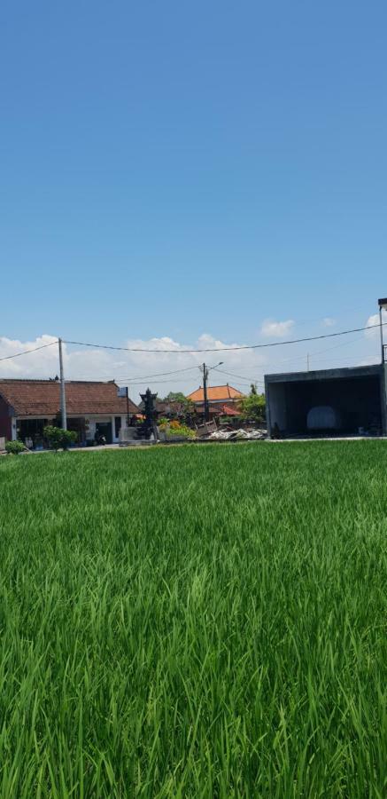 Sun Homestay Canggu Exteriér fotografie